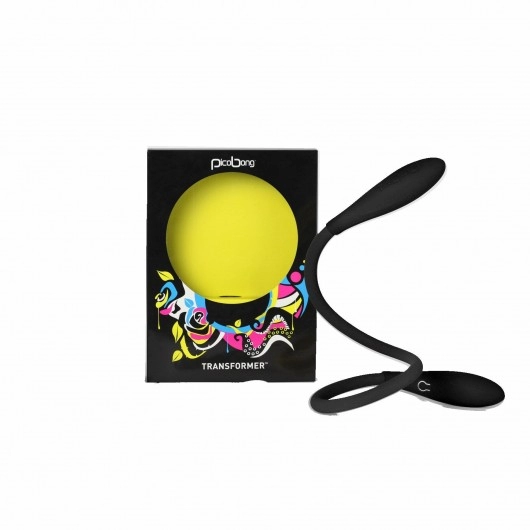  PICOBONG TRANSFORMER